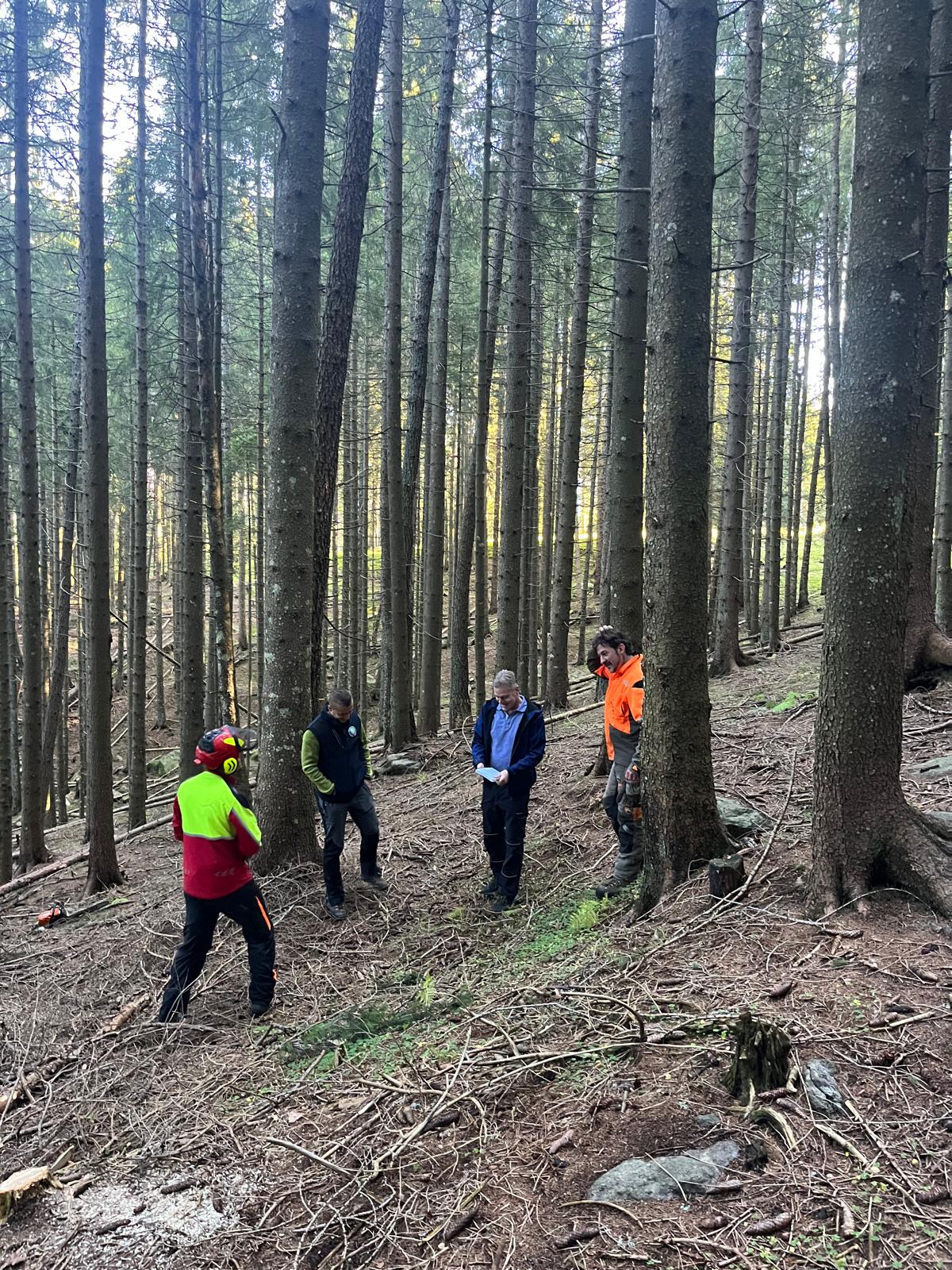 SOPRALLUOGO IN BOSCO DURANTE ATTIVITA' DI CERTIFICAZIONE